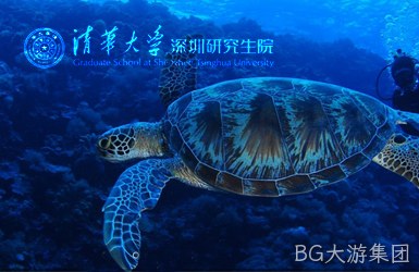 点击查看