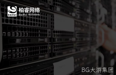点击查看柏睿网络科技案例