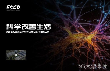 点击查看