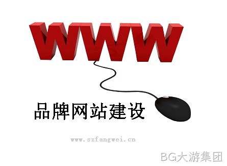 品牌网站定制