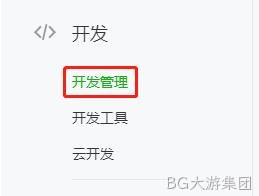 开发管理