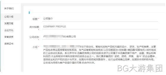 企业网站开发