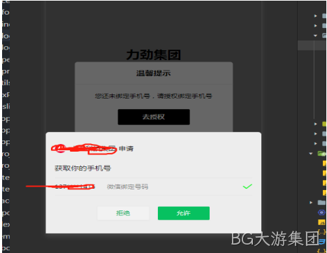 获取手机号码