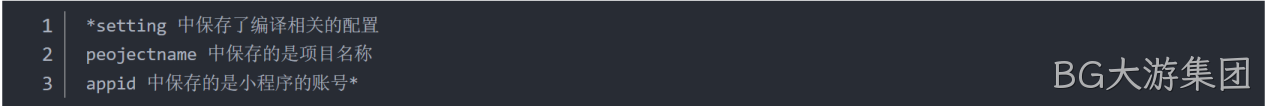  JSON 配置文件