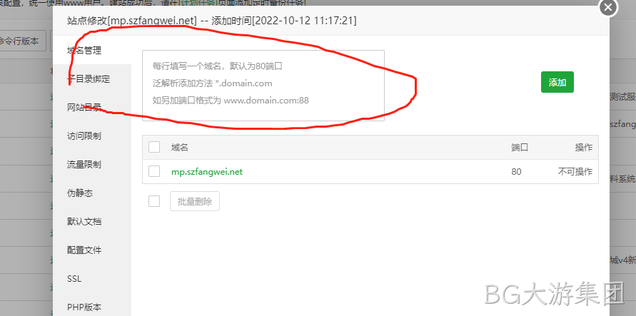 网站添加域名