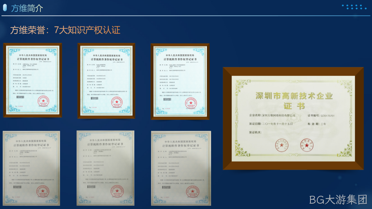BG大游集团简介
