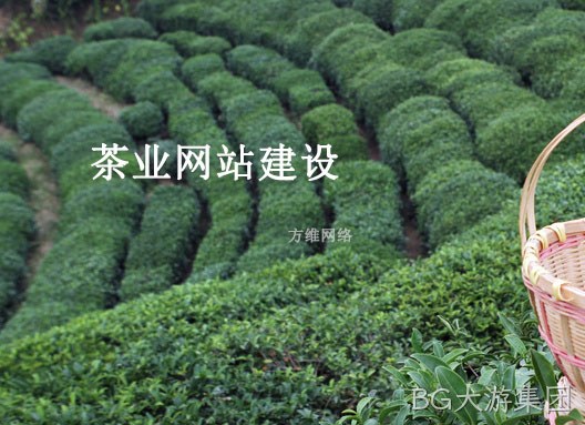 茶业网站建设