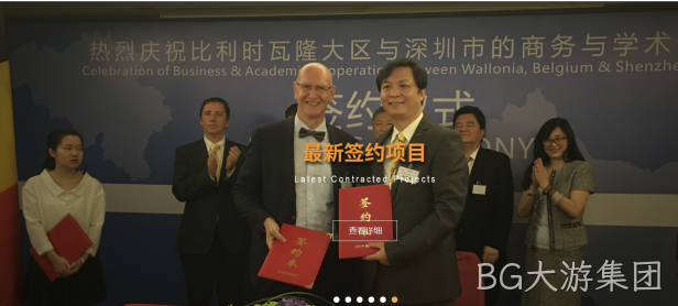 网站案例