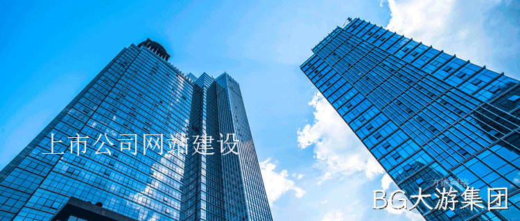 上市公司网站建设