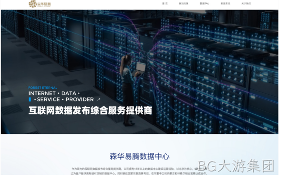 网站案例1