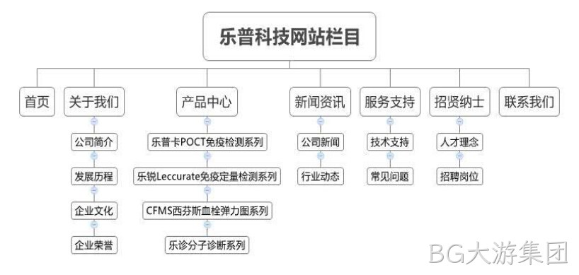 BG大游集团乐普