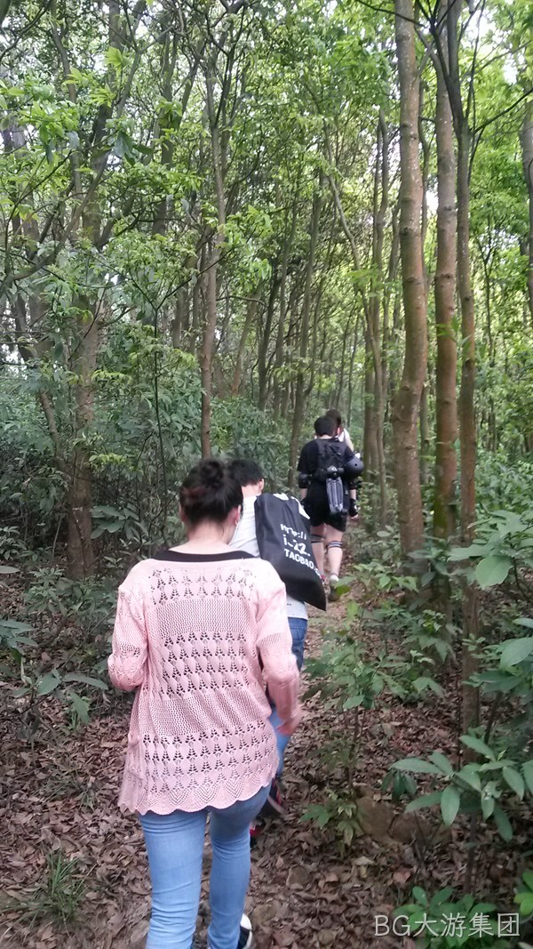 BG大游集团仙湖行