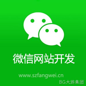 微信网站建设