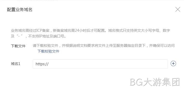 配置业务域名要求