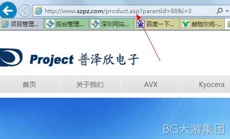 BG大游集团