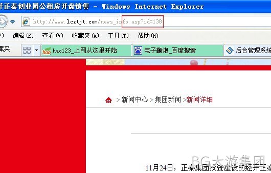 BG大游集团动态网站